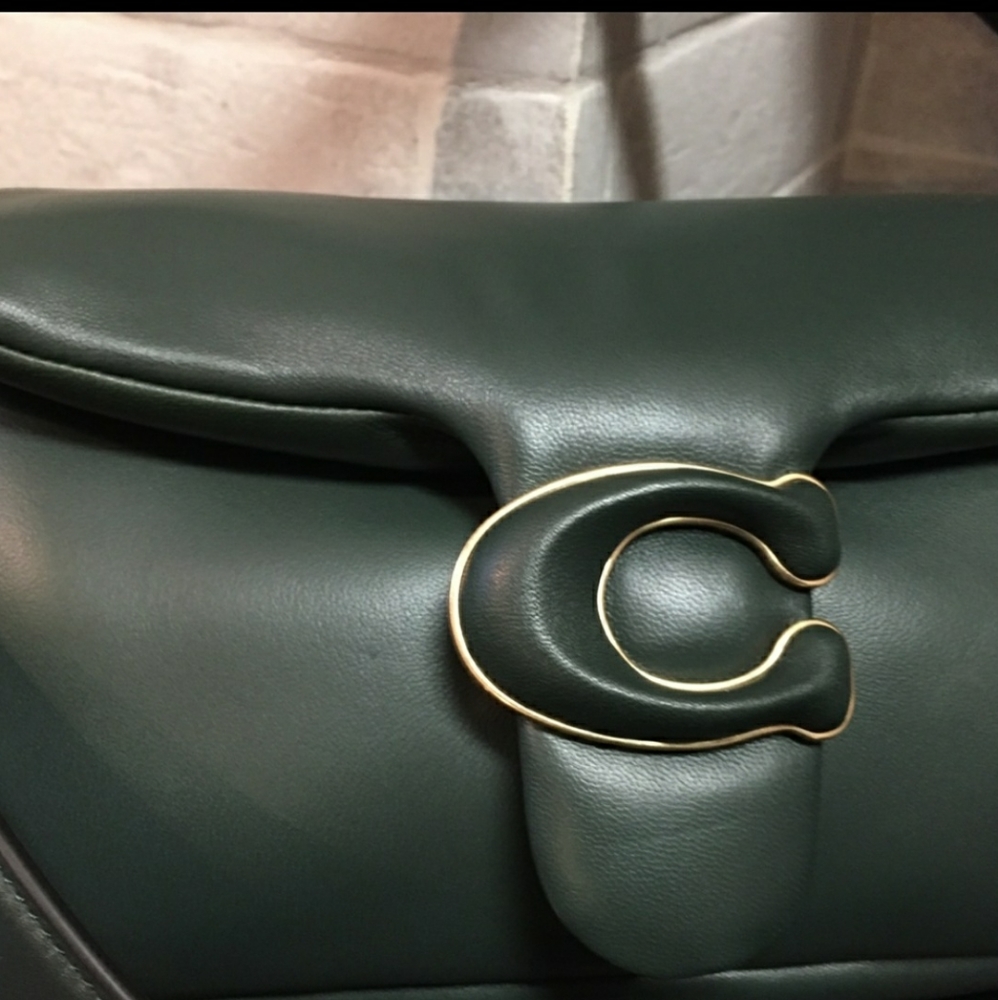 Coach Tabby Pillow Amazon Green rare